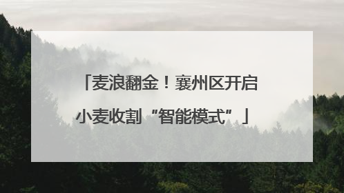 麦浪翻金！襄州区开启小麦收割“智能模式”