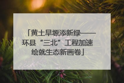 黄土旱塬添新绿——环县“三北”工程加速绘就生态新画卷