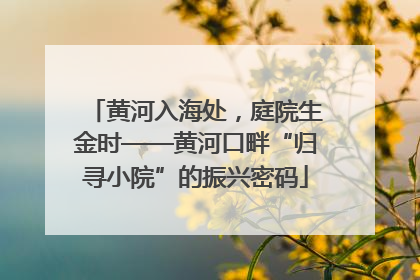 黄河入海处，庭院生金时——黄河口畔“归寻小院”的振兴密码