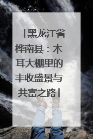 黑龙江省桦南县：木耳大棚里的丰收盛景与共富之路