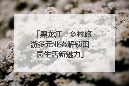 黑龙江：乡村旅游多元业态解锁田园生活新魅力