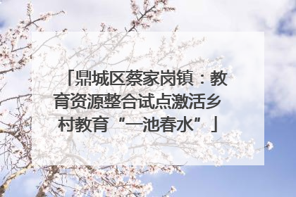 鼎城区蔡家岗镇：教育资源整合试点激活乡村教育“一池春水”