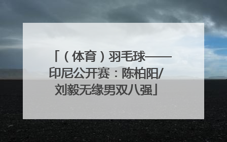 （体育）羽毛球——印尼公开赛：陈柏阳/刘毅无缘男双八强
