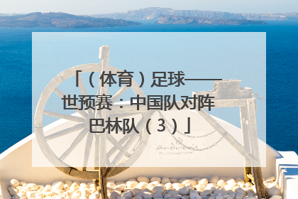 （体育）足球——世预赛：中国队对阵巴林队（3）