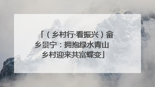 （乡村行·看振兴）畲乡景宁：拥抱绿水青山 乡村迎来共富蝶变