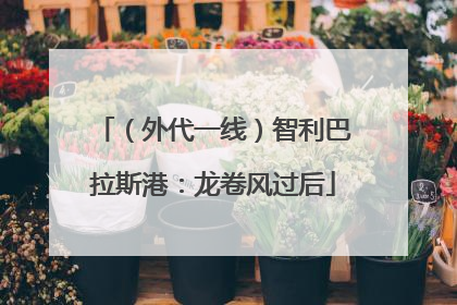 （外代一线）智利巴拉斯港：龙卷风过后