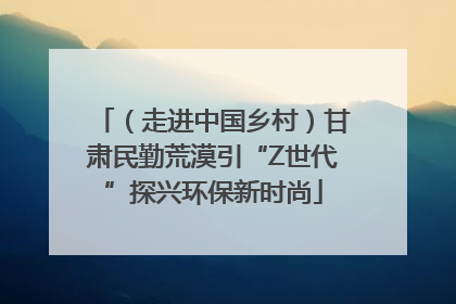 （走进中国乡村）甘肃民勤荒漠引“Z世代”探兴环保新时尚