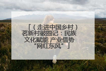 （走进中国乡村）茗新村破圈记：民族文化赋能 产业借势 “网红东风”