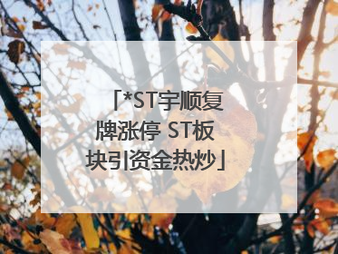 *ST宇顺复牌涨停 ST板块引资金热炒