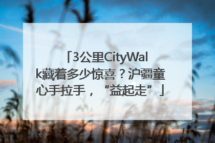 3公里CityWalk藏着多少惊喜？沪疆童心手拉手，“益起走”