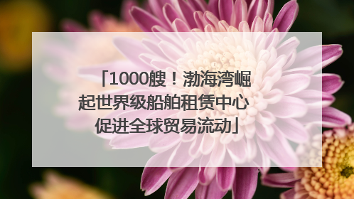 1000艘！渤海湾崛起世界级船舶租赁中心 促进全球贸易流动