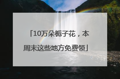 10万朵栀子花，本周末这些地方免费领