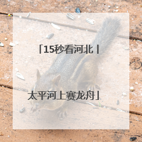 15秒看河北丨太平河上赛龙舟