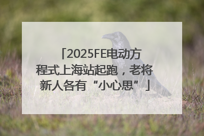 2025FE电动方程式上海站起跑，老将新人各有“小心思”
