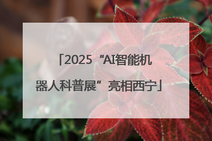 2025“AI智能机器人科普展”亮相西宁