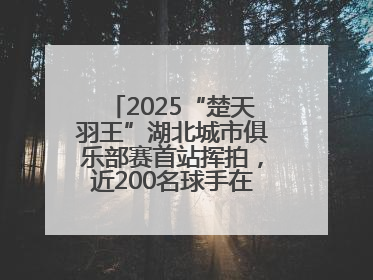 2025“楚天羽王”湖北城市俱乐部赛首站挥拍，近200名球手在黄石同场竞技