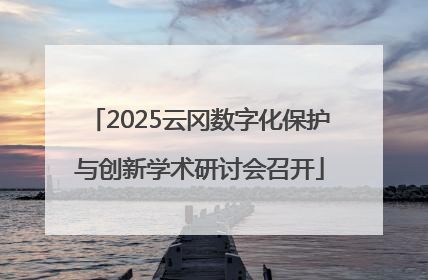2025云冈数字化保护与创新学术研讨会召开