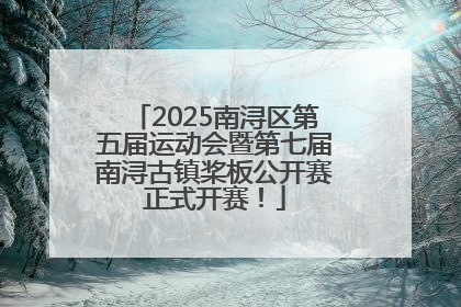 2025南浔区第五届运动会暨第七届南浔古镇桨板公开赛正式开赛！