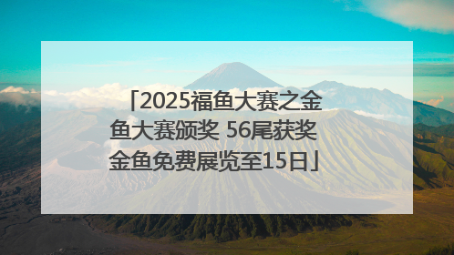 2025福鱼大赛之金鱼大赛颁奖 56尾获奖金鱼免费展览至15日