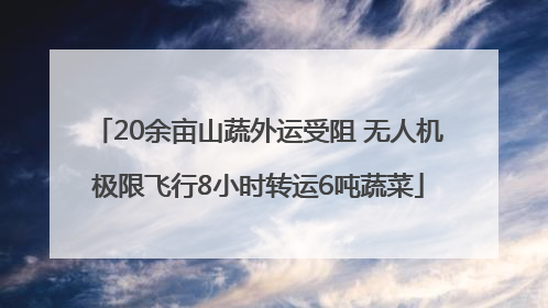 20余亩山蔬外运受阻 无人机极限飞行8小时转运6吨蔬菜