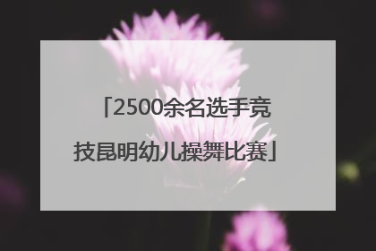 2500余名选手竞技昆明幼儿操舞比赛