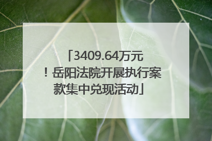 3409.64万元！岳阳法院开展执行案款集中兑现活动