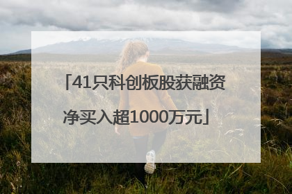 41只科创板股获融资净买入超1000万元