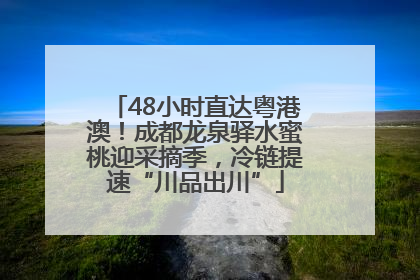 48小时直达粤港澳！成都龙泉驿水蜜桃迎采摘季，冷链提速“川品出川”