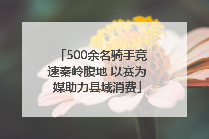 500余名骑手竞速秦岭腹地 以赛为媒助力县域消费