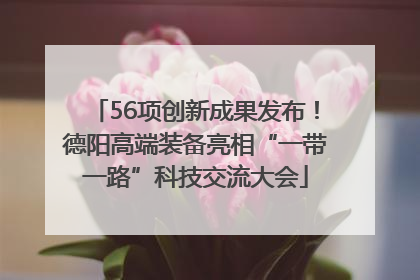 56项创新成果发布！德阳高端装备亮相“一带一路”科技交流大会