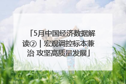 5月中国经济数据解读②｜宏观调控标本兼治 攻坚高质量发展