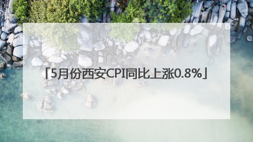 5月份西安CPI同比上涨0.8%