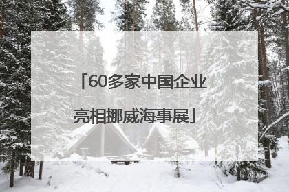 60多家中国企业亮相挪威海事展