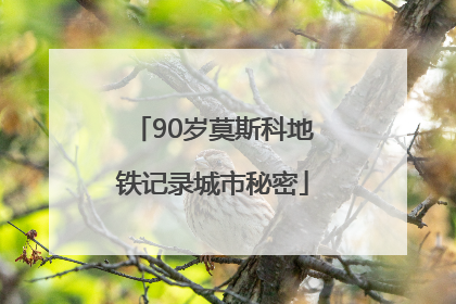 90岁莫斯科地铁记录城市秘密