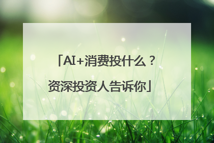 AI+消费投什么？资深投资人告诉你