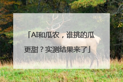 AI和瓜农，谁挑的瓜更甜？实测结果来了
