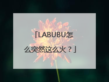 LABUBU怎么突然这么火？