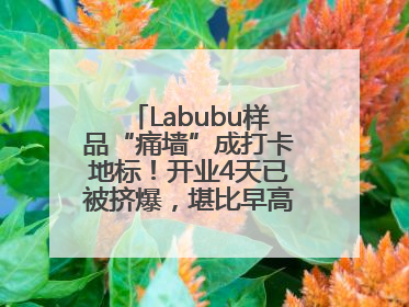 Labubu样品“痛墙”成打卡地标！开业4天已被挤爆，堪比早高峰菜市场