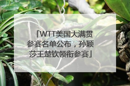 WTT美国大满贯参赛名单公布，孙颖莎王楚钦领衔参赛